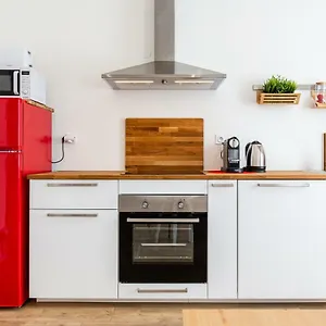 Misirlou -superbe Dans La Vieille Appartement
